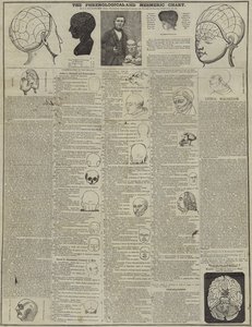 Die phrenologische und mesmerische Karte von English School