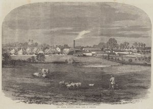 Das Modellgut des Prinzgemahls in Osborne (Gravur) von English School