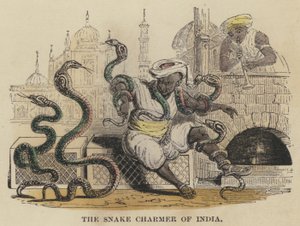Der Schlangenbeschwörer von Indien von English School