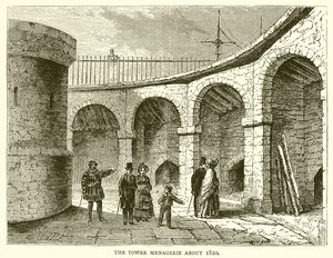 Die Menagerie im Tower um 1820