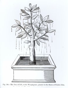 Der Baum des Lebens oder der Weidenbaum, gepflanzt in den Staaten von Priester Johannes, Illustration aus Wissenschaft und Literatur im Mittelalter und der Renaissance, geschrieben und graviert von Paul Lacroix, 1878 von English School