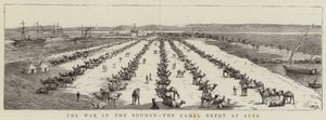 Der Krieg im Sudan, das Kameldepot in Suez (Stich)