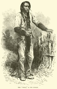 Der Wolf, ein Ute-Indianer von English School