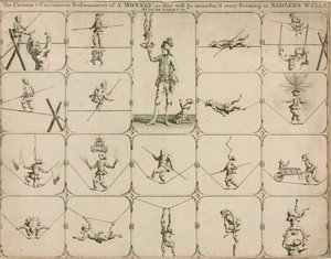 Die merkwürdige und ungewöhnliche Darbietung eines Affen, wie sie jeden Abend im Sadlers Wells von Signor Spinacuta vorgestellt wird von English School