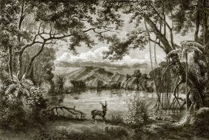 Der verzauberte See auf der philippinischen Insel von English School