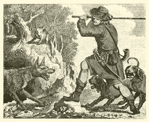 Der Fuchs und der Wolf von English School
