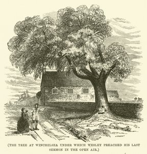 Der Baum in Winchelsea, unter dem Wesley seine letzte Predigt im Freien hielt von English School