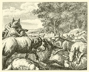 Die Wölfe und die Schafe von English School