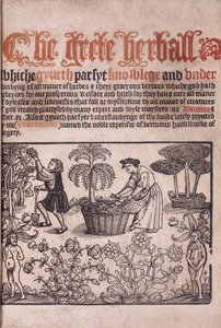 Titelblatt, das eine Gartenszene mit Figuren illustriert, 1529 von English School