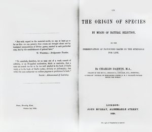 Titelseite zu On the Origin of Species von Charles Darwin, veröffentlicht 1859 von English School