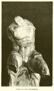 Torso des Belvedere von English School