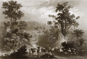 Reisen in Brasilien von English School