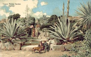 Tresco Abbey Garden, Scilly-Inseln, Cornwall
