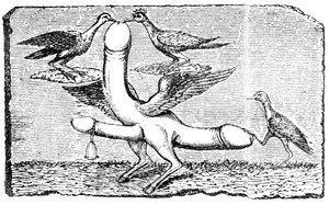 Dreifacher Phallus mit Flügeln, Beinen und Füßen einer Ziege, einer Glocke, Flügeln, zwei Vögeln, die den größten Penis picken, und einem anderen Vogel, der den Schwanz mit seinem Fuß niederhält