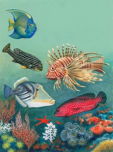Tropische Fische