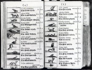 Zwei Seiten aus Orbis Sensualium Pictus von Comenius, 1659
