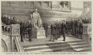 Enthüllung der Statue des verstorbenen Charles Darwin im Natural History Museum, South Kensington von English School