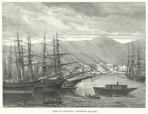 Ansicht von Honolulu, Sandwich-Inseln (Gravur) von English School