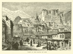 Ansicht der Burg von Leh