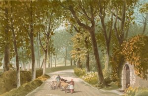 Vinchelez Lane--Jersey von English School