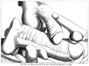 Wachs-Ex-Votos des männlichen Penis aus Isernia in der Region Molise in Süditalien von English School