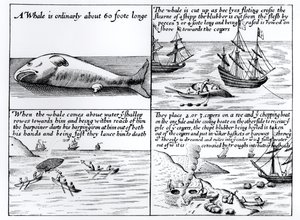 Walfang in Spitzbergen im Jahr 1611 von English School