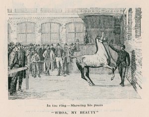Whoa, My Beauty - Im Ring, seine Gänge zeigend