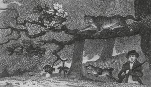 Wildkatze von English School