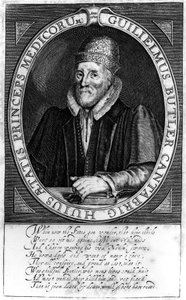 William Butler, nach einem Originalporträt in Clare Hall, Cambridge, 1620 von English School