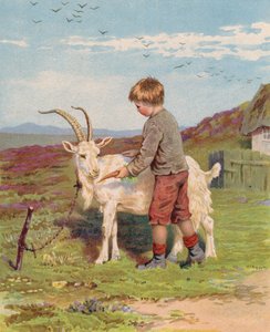 Junger Junge füttert eine Ziege auf einem Bauernhof mit einer Karotte von English School