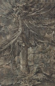 Die große Tanne. Berglandschaft mit befestigter Stadt und Festung, eine große Tanne im Vordergrund von Erhard Altdorfer