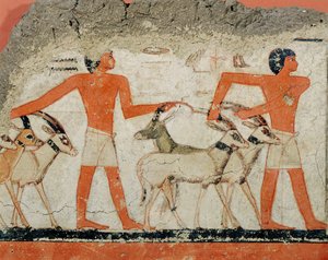 Wandmalerei aus dem Grab des Pharaos Metchetchi von Erich Lessing