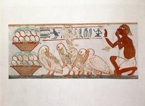 Fallensteller mit Pelikanen
