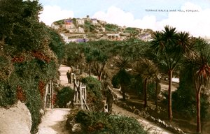 Terrassenweg und Vane Hill, Torquay, Devon von Ern Bishop