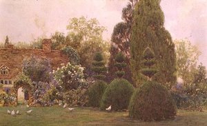 Hühner in einem Garten