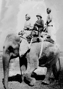 George V. (1865-1936), König von Großbritannien ab 1936, reitet auf einem Elefanten auf einer Jagdreise in Nepal, Dezember 1911, während er in Indien war, um als Kaiser von Indien eingesetzt zu werden. von Ernest Brooks