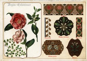 Bilder von Kamelien und Orangenblüten aus Manuskripten