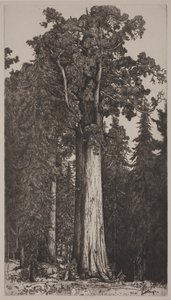 General Sherman