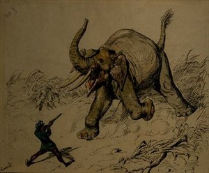 Elefantenjagd von Ernest Henry Griset