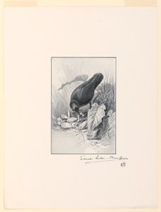 Der Griff einer Porzellantasse, das Juwel der Sammlung von Ernest Thompson Seton