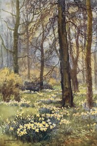 Die Wildnis im Frühling von Ernest William Haslehust