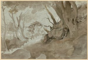 Baum- und Felsenstudie