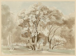 Baumgruppe im Park der Villa Borghese in Rom von Ernst Fries