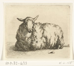 Liegendes Schaf von vorne von Ernst Willem Jan Bagelaar