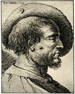 Studie eines männlichen Kopfes von Esaias van de Velde