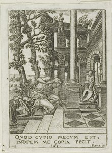 Narzisse von Etienne Delaune