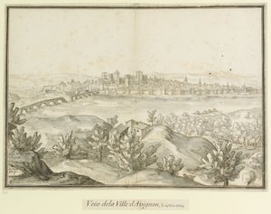 Von der Stadt Avignon und darüber hinaus: Blick auf die Stadt Avignon und die Umgebung