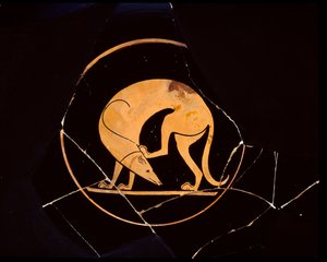 Attische rotfigurige Schale mit Hund, der sich mit einem Hinterbein am Ohr kratzt, innen Tondo, 5. Jahrhundert v. Chr. von Euergides painter