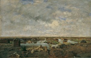 Große Moorlandschaft