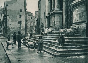 Ziegen auf den Stufen der Kathedrale, Palermo, Sizilien, Italien, 1927 von Eugen Poppel